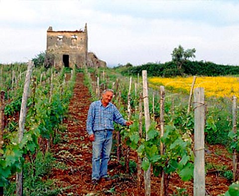 Antonio Fortunato in one of his vineyards near   Verbicaro Calabria Italy Verbicaro vdt