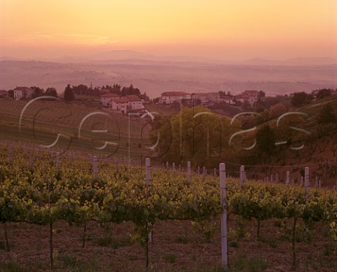 Sunset over village of Serra de Conti and its vineyards  Marches Italy  Verdicchio dei Castelli di Jesi Classico