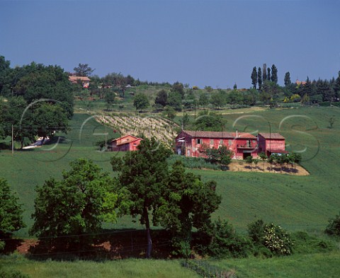 Small vineyard and farmhouse at Matlica   Marches Italy  Verdicchio di Matlica