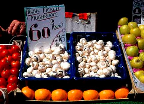 Mushrooms for sale   KingstonuponThames market