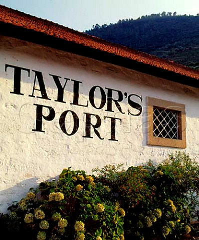Part of Taylors Quinta de Vargellas high in the   Douro valley east of Pinho Portugal  Port