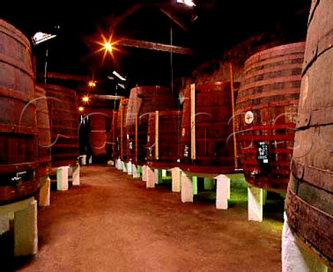 Barrels of port  including LBV and 10 year old  in   Taylors lodge at Vila Nova de Gaia Portugal