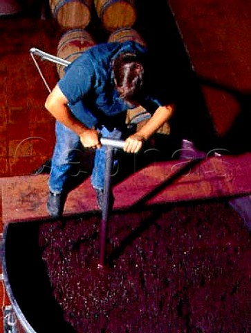 Hand plunging grapes in an opentopped fermenter   Quinta do Crasto Ferrao Portugal Douro