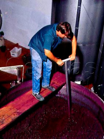Hand plunging grapes   in an opentopped fermenter   Quinta do Crasto Ferrao Portugal Douro