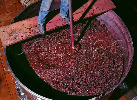 Handplunging grapes in an opentopped fermenter   Quinta do Crasto Ferrao Portugal   Douro