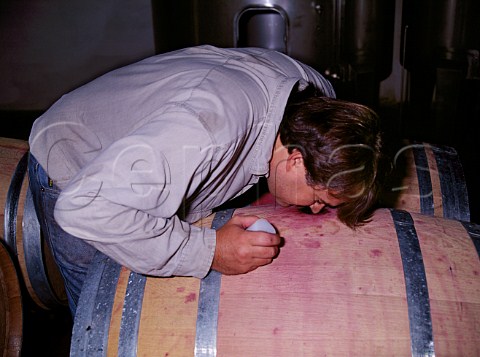 Smelling the contents of a barrel to check that fermentation is progressing   correctly  Quinta do Crasto Ferrao Portugal  Douro