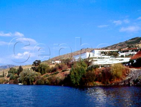 Taylors Quinta de Vargellas viewed from the Douro   River Portugal   Port