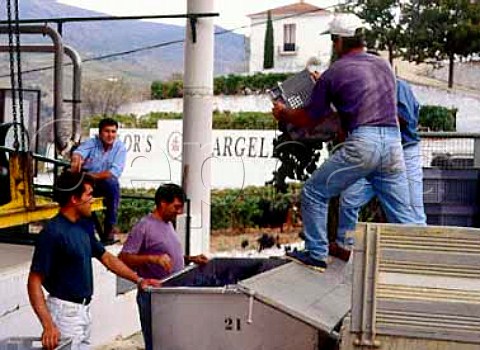 Harvested grapes arriving at Taylors Quinta da   Vargellas high in the Douro valley east of Pinho    Portugal  Port