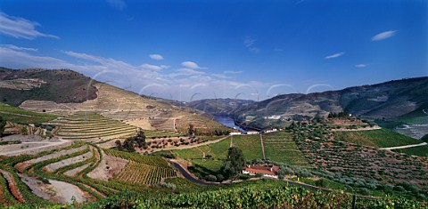 Quinta do Crasto in the Douro Valley between Regua and Pinho Portugal   Douro  Port
