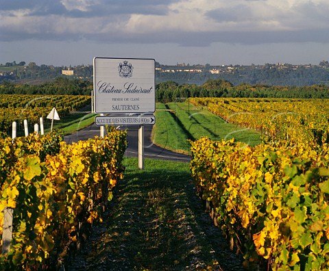 Sign in vineyard of Chteau Suduiraut at Preignac with SainteCroixduMont across the Garonne in the distance Gironde   France  Sauternes  Bordeaux