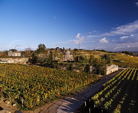 Chteau Ausone and its vineyard Stmilion Gironde France  Saintmilion  Bordeaux