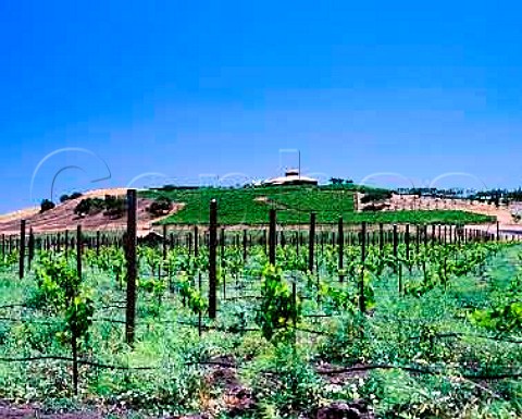 Viansa Winery in the Carneros district    Sonoma Co California