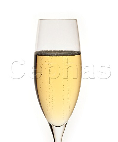 Flute of Champagne