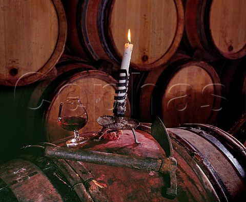 Tasting in the barrel cellar of Michel Lafarge Volnay Cte dOr France Cte de Beaune