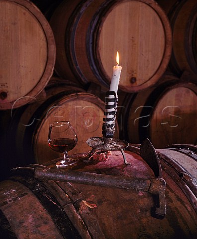 Tasting wine from barrel in cellar of Michel Lafarge Volnay   Cte dOr France Cte de Beaune