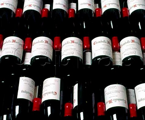Bottles of ChambolleMusigny 1995 in the   cellars of Domaine Georges Roumier   ChambolleMusigny Cte dOr France