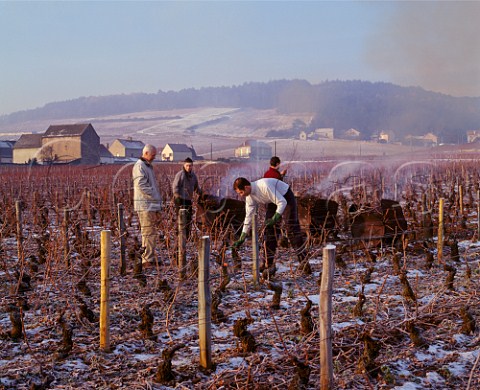 Jacques Seysses and his pruning team in   Clos de la Roche vineyard on a cold December morning   Domaine Dujac MoreyStDenis Cte dOr France    Cte de Nuits Grand Cru