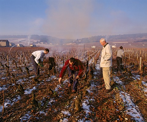 Jacques Seysses and his pruning team in   Clos de la Roche vineyard on a cold December morning   Domaine Dujac MoreyStDenis   Cte dOr France    Cte de Nuits