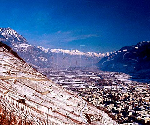 Snowcovered vineyards above Martigny and the Rhne   Valley Valais Switzerland
