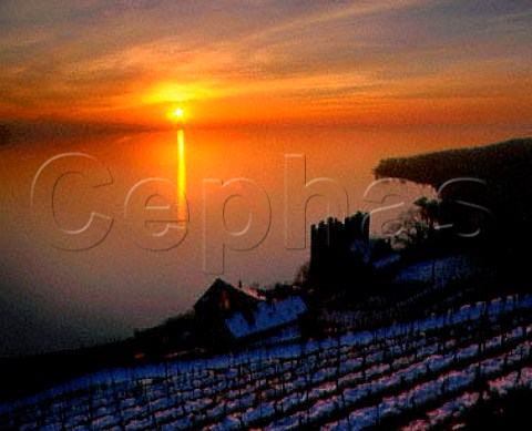 Sunset over snowcovered vineyards and Lac Lman at   La TourdeMarsens Lavaux Switzerland   AOC Dzaley