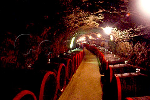 Barrel cellar of Chteaux Megyer and   Pajzos Srospatak Hungary Tokay