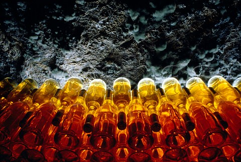 Bottles of Tokaj in the cellars of Oremus Tolcsva Hungary