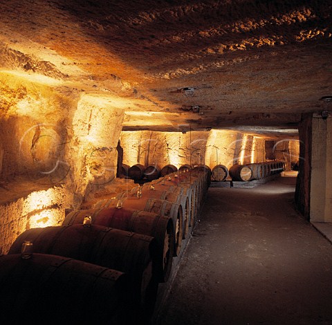Barrel cellar of Chteau FrancMayne  Stmilion Gironde France  Stmilion