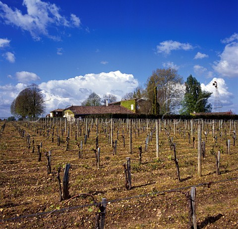 Chteau Trotanoy and vineyard in winter Pomerol Gironde France   Pomerol