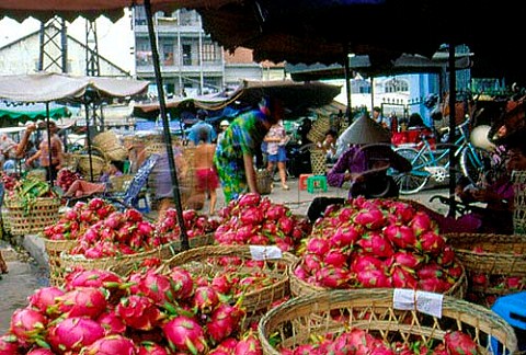 Dragon Fruit for sale in Cho Lon Market   Saigon Vietnam