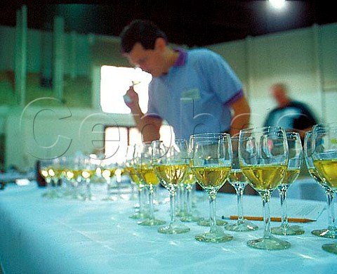 Judging Chardonnay wines at the California State   Fair