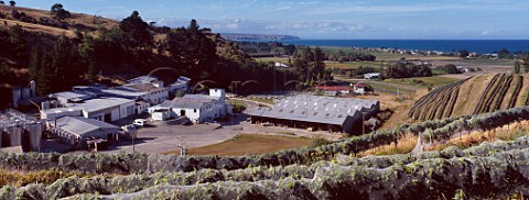 Esk Valley winery and vineyards Napier  New Zealand  Hawkes Bay