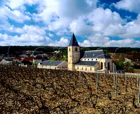 MidApril in vineyard above the church of   ChignylesRoses on the north slopes of the Montagne   de Reims Marne France Champagne