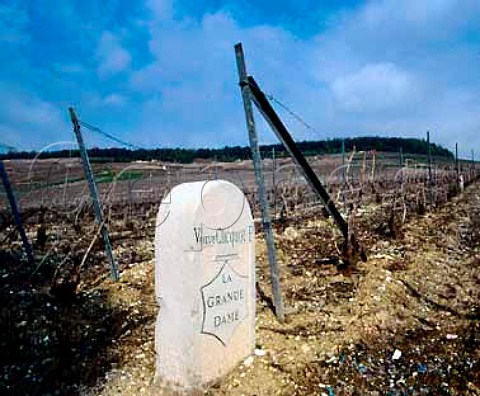 Veuve Clicquot La Grande Dame markerstone   in Chardonnay vineyard at Oger Marne France Cte   des Blancs  Champagne