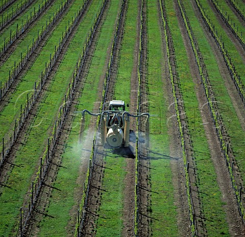 Spraying vines on Montanas Brancott Estate   Marlborough New Zealand