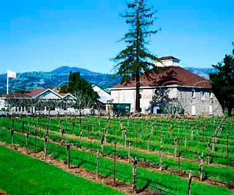 Canyon Road Winery Healdsburg Sonoma Co   California   Alexander Valley