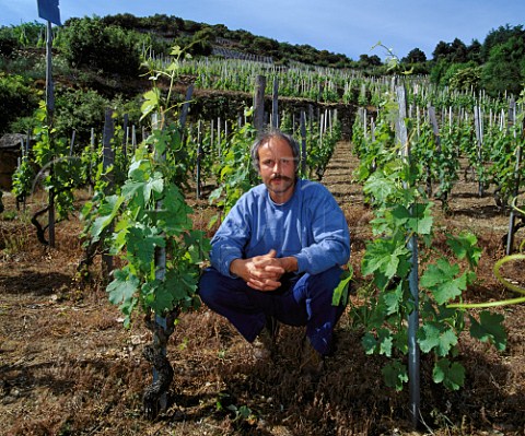 Thierry Allemand amidst the old Syrah vines   of his Le Renard vineyard in the hills above   Cornas Ardche France   AC Cornas