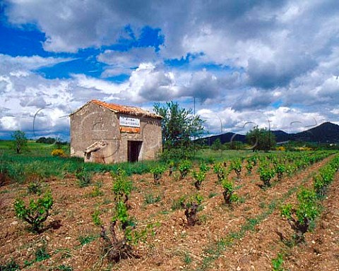 Hut in vineyard at Rasteau Vaucluse France    Ctes du RhneVillages