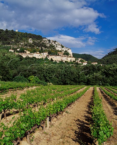 Vineyard below the hillside village of Sguret Vaucluse France Ctes du RhneVillages