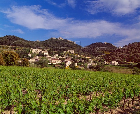 Grenache vineyard below village of Gigondas and the Dentelles de Montmirail Vaucluse France  AC Gigondas
