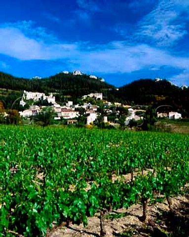Vineyard below Gigondas and the   Dentelles de Montmirail Vaucluse France  AC Gigondas