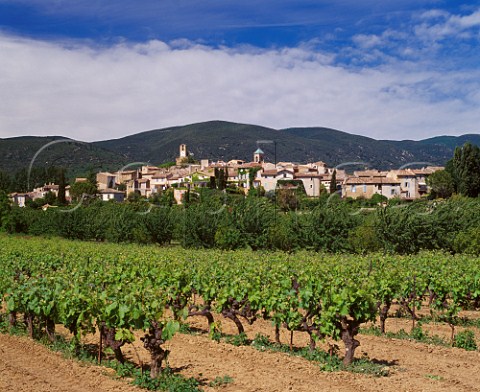 Vineyard at Lourmarin with the Montagne du Lubron beyond Vaucluse France   Ctes du Lubron