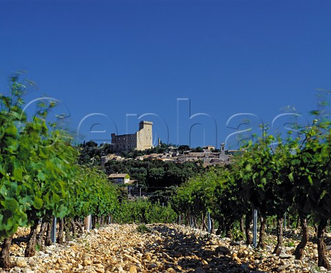 The ruined papal chteau viewed through vineyard   ChteauneufduPape Vaucluse France