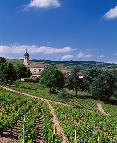 Clos les Farges vineyard of Domaine Cheysson  Chiroubles Rhne France  Chiroubles  Beaujolais