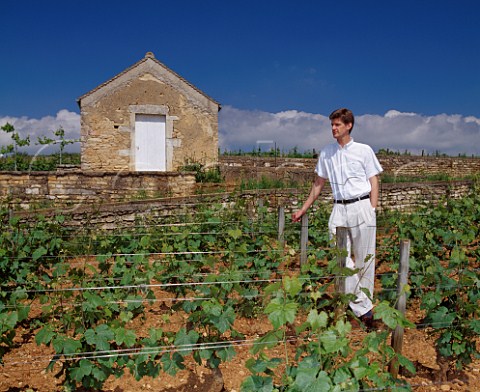Philippe Drouhin viticulturist of Domaine Joseph Drouhin in their Clos des Mouches vineyard  Beaune Cte dOr France Cte de Beaune Premier Cru