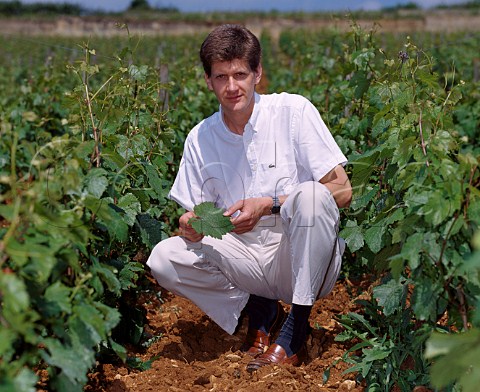 Philippe Drouhin viticulturist of   Domaine Joseph Drouhin in their   Clos des Mouches vineyard  Beaune Cte dOr France