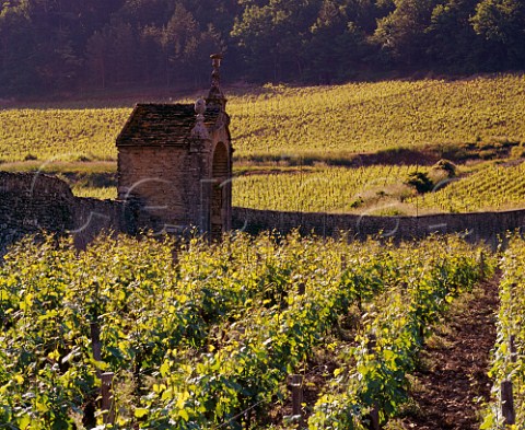Clos StJacques vineyard of Domaine Armand Rousseau with LavautStJacques beyond GevreyChambertin Cte dOr France  Cte de Nuits Premier Cru