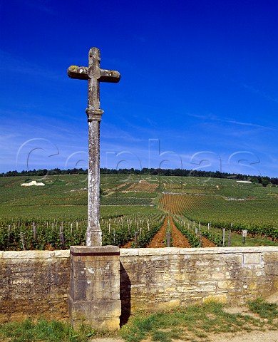 The cross at the corner of RomaneConti and Richebourg vineyards VosneRomane Cte dOr France Cte de Nuits Grand Cru