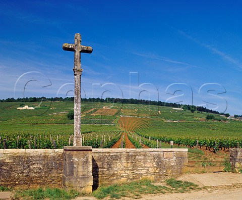The cross at the corner of RomaneConti and Richebourg vineyards VosneRomane Cte dOr France   Cte de Nuits Grand Cru