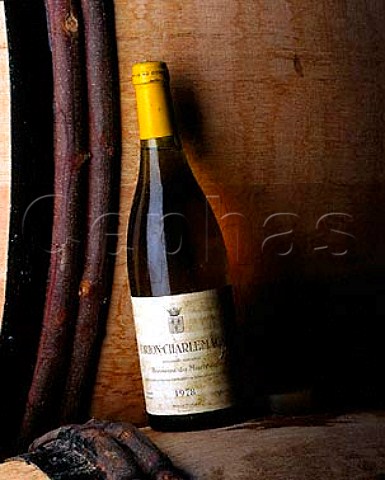 Bottle of 1978 CortonCharlemagne in the   barrel cellar of Domaine Bonneau du Martray   PernandVergelesses Cte dOr France