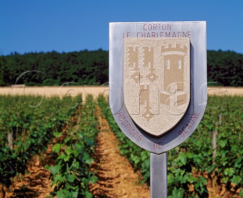 Marker denoting a vineyard belonging to the  Hospices de Beaune on the hill of Corton   AloxeCorton Cte dOr France   AC CortonCharlemagne